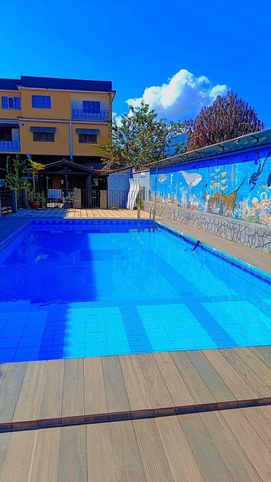 Piscina 1